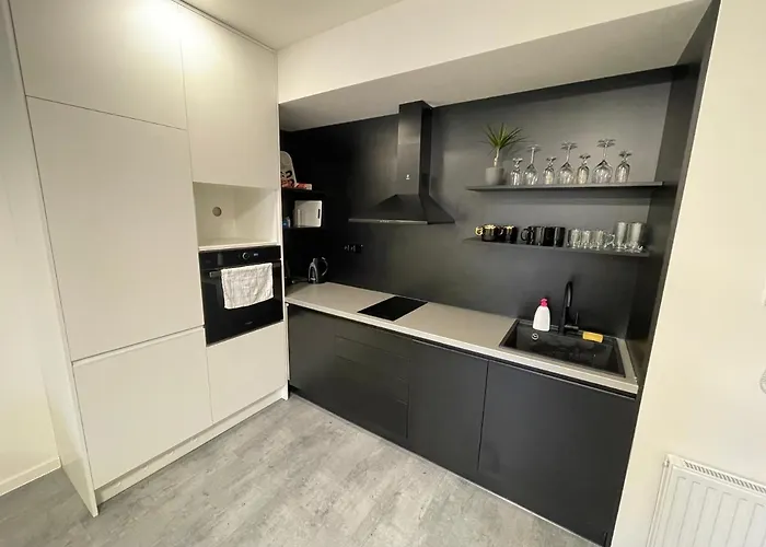 Central Apartments Opava 公寓 奥帕瓦