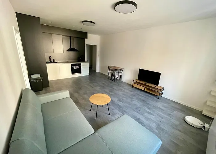 Central Apartments Opava * 奥帕瓦